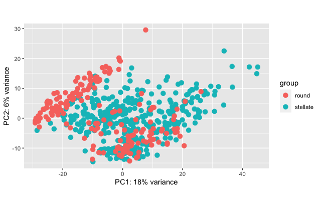 Figure 2. PCA plot identifies the two components (PC1 and PC2) which capture the most variance in our data. 