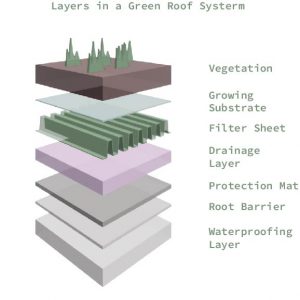 greenroofdiagram